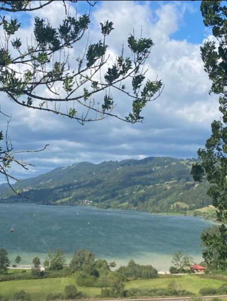 Fewo Alpenwiese Mit Hallenbad&Sauna Missen-Wilhams Exterior photo